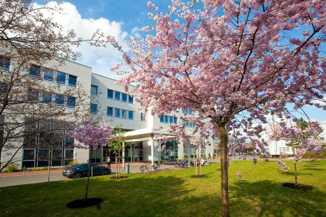 Der Eingangsbereich zum Kliniksgebäude (Bilder: Presse- und Öffentlichkeitsarbeit der Medizinischen Hochschule Hannover).