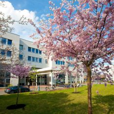 Neubau eines Transplantations- und Forschungszentrums sowie einer Frauenklinik an der Medizinischen Hochschule Hannover