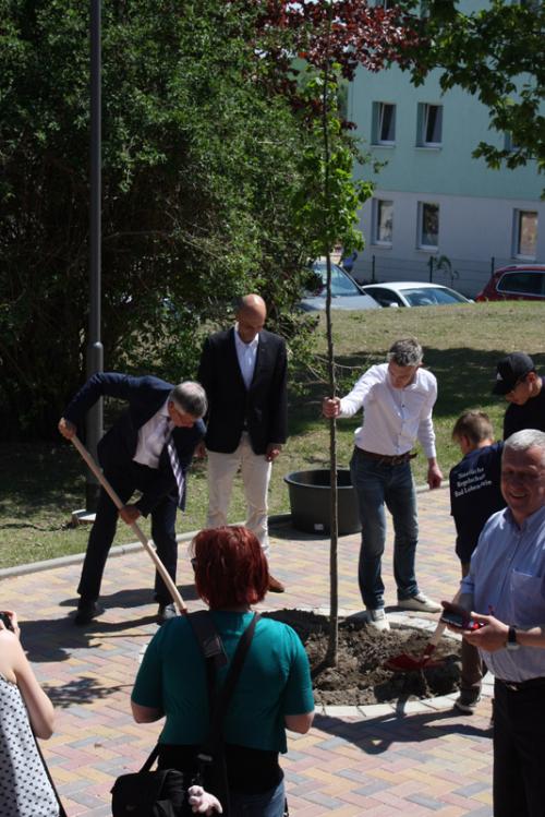 Landrat Thomas Fügman planzt anlässlich der feierlichen Einweihung gemeinsam mit den Projektbeteiligt Bäume.